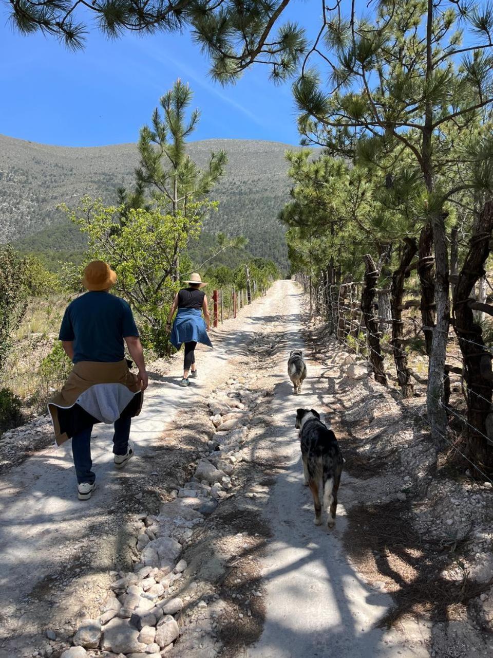 Camping En La Sierra De Arteaga Los Lirios Exteriér fotografie