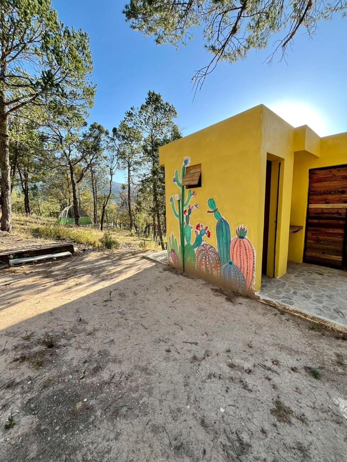 Camping En La Sierra De Arteaga Los Lirios Exteriér fotografie